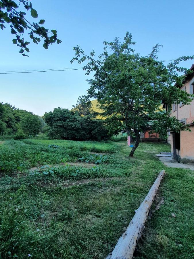 B&B Calecatine Rocca di Botte 外观 照片