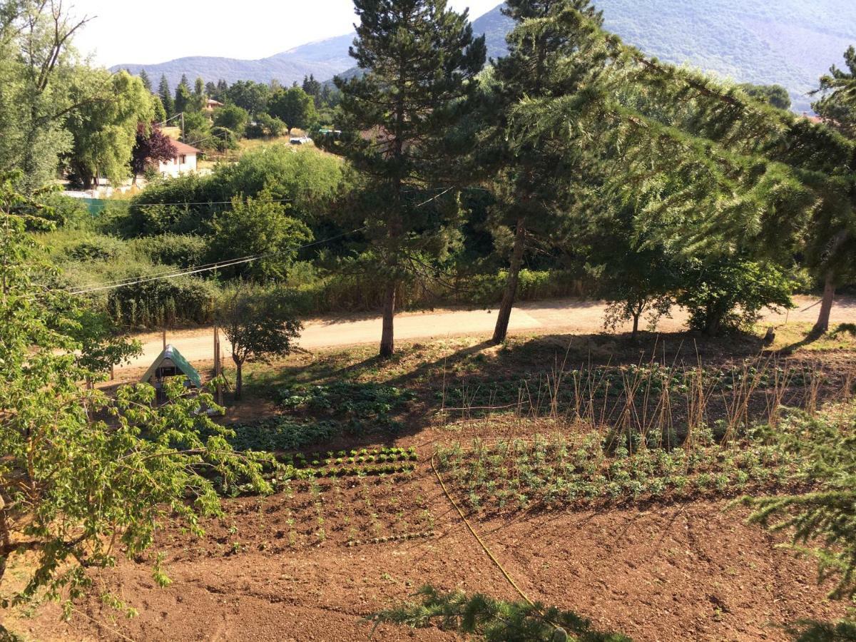B&B Calecatine Rocca di Botte 外观 照片